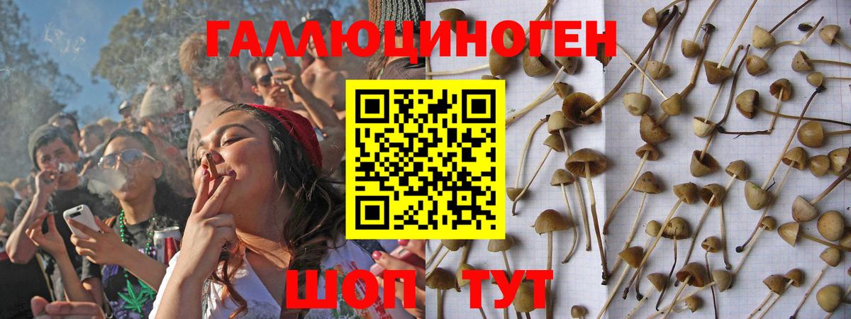 Галлюциногенные грибы Magic Shrooms Киров