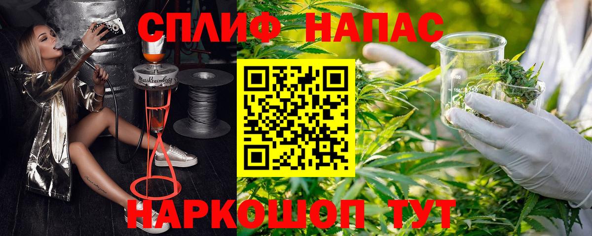 Конопля MAZAR Киров